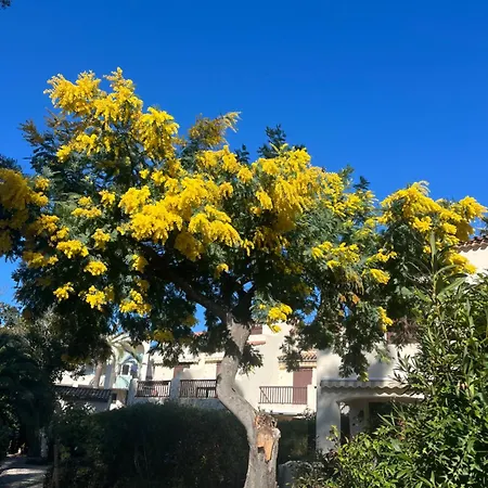 Rdj 2pers300m Boulouris Apartment Saint-Raphael (Var)